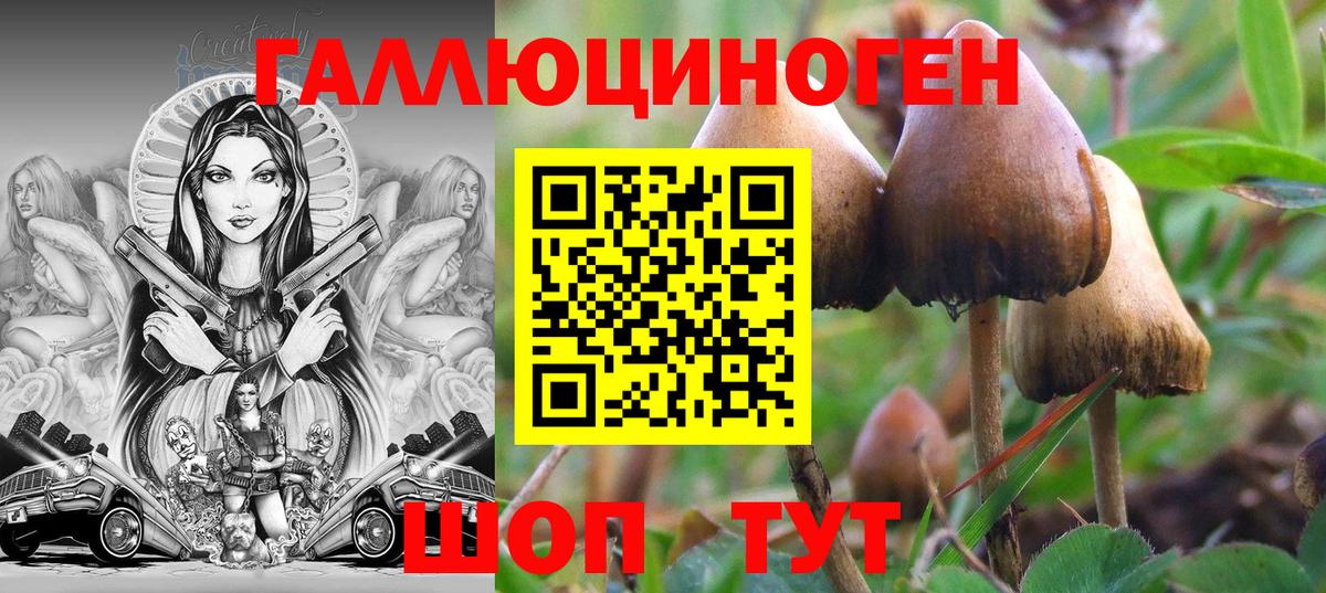Псилоцибиновые грибы Psilocybe Нижневартовск